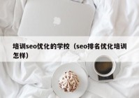 培训seo优化的学校（seo排名优化培训怎样）