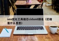 seo优化工具维芯cidun8排名（芯维是什么意思）