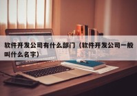 软件开发公司有什么部门（软件开发公司一般叫什么名字）